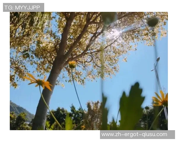 沐浴着冬日暖阳,咱们赢得成功